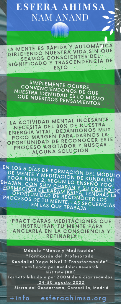 Infografia Mente y Meditación