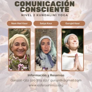profesorado yoga nivel 2